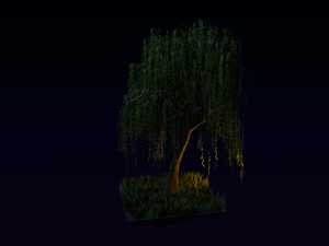 willow tree 3D 模型