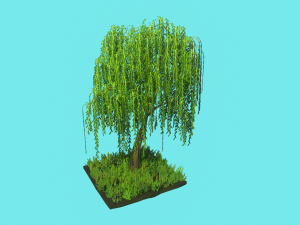 willow tree 3D 模型