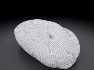 rock - photoscanned pbr textures - low and high poly 3D Model