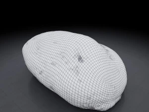 rock - photoscanned pbr textures - low and high poly 3D Model