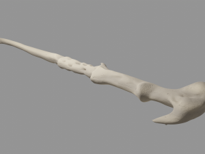 Voldemort Wand Modello 3D