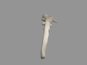 Voldemort Wand Modello 3D