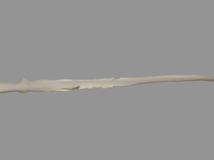 Voldemort Wand Modello 3D