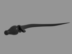 Tail Plug Sextoy 3D 模型