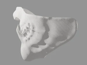 Japanese Oni Half Mask 3D Model