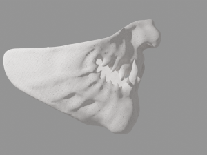 Japanese Oni Half Mask Modelo 3D