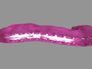 Glass Tentacle Sextoy 3D Model