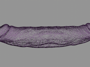 Double Sextoy Modelo 3D
