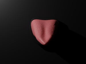 Tongue Sextoy 3D 模型