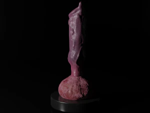 Werewolf furry sextoy 3D Model