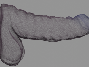 Fantasy Curly Monster Sextoy Penis Modelo 3D