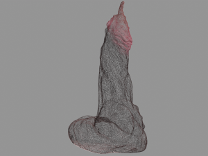 Fantasy Incubus Penis Sextoy 3D मॉडल