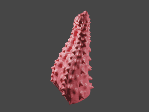 Spiked Monster Sextoy Modelo 3D