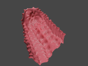 Spiked Monster Sextoy Modelo 3D