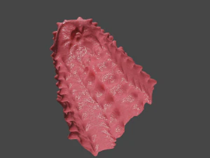 Spiked Monster Sextoy 3D Model