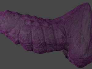 Fantasy Dragon Sextoy 3D Model