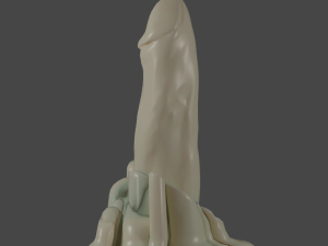 Candle Penis Modello 3D