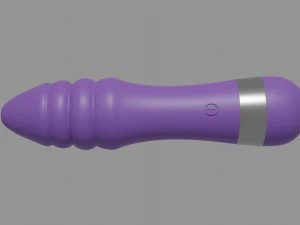 Vibrator Model 3D Model