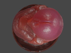 Earth Demon Fantasy Penis Sextoy 3D Model