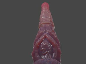 Realistic Rigged Dragon Penis Sextoy Sirizian 3D Model