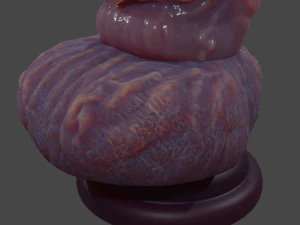Realistic Rigged Dragon Penis Sextoy Sirizian 3D Model
