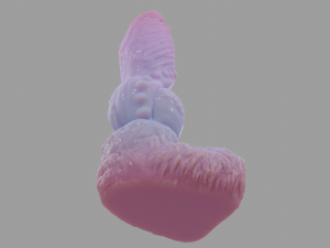 Cottoncandy Wolf Furry Fantasy Sextoy 3D Model