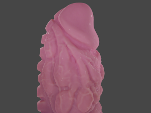 Alien Penis Sextoy 3D Модель