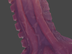 Alien Penis Sextoy 3D Модель