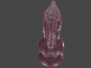 Dog Penis Furry Sextoy 3D Model