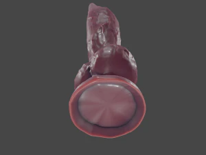 Dog Penis Furry Sextoy 3D Model