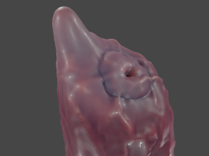 Dog Penis Furry Sextoy 3D Model