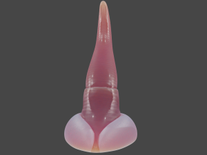 Rigged Sea Dragon Penis Sextoy 3D 모델