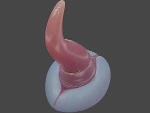 Rigged Sea Dragon Penis Sextoy 3D Model