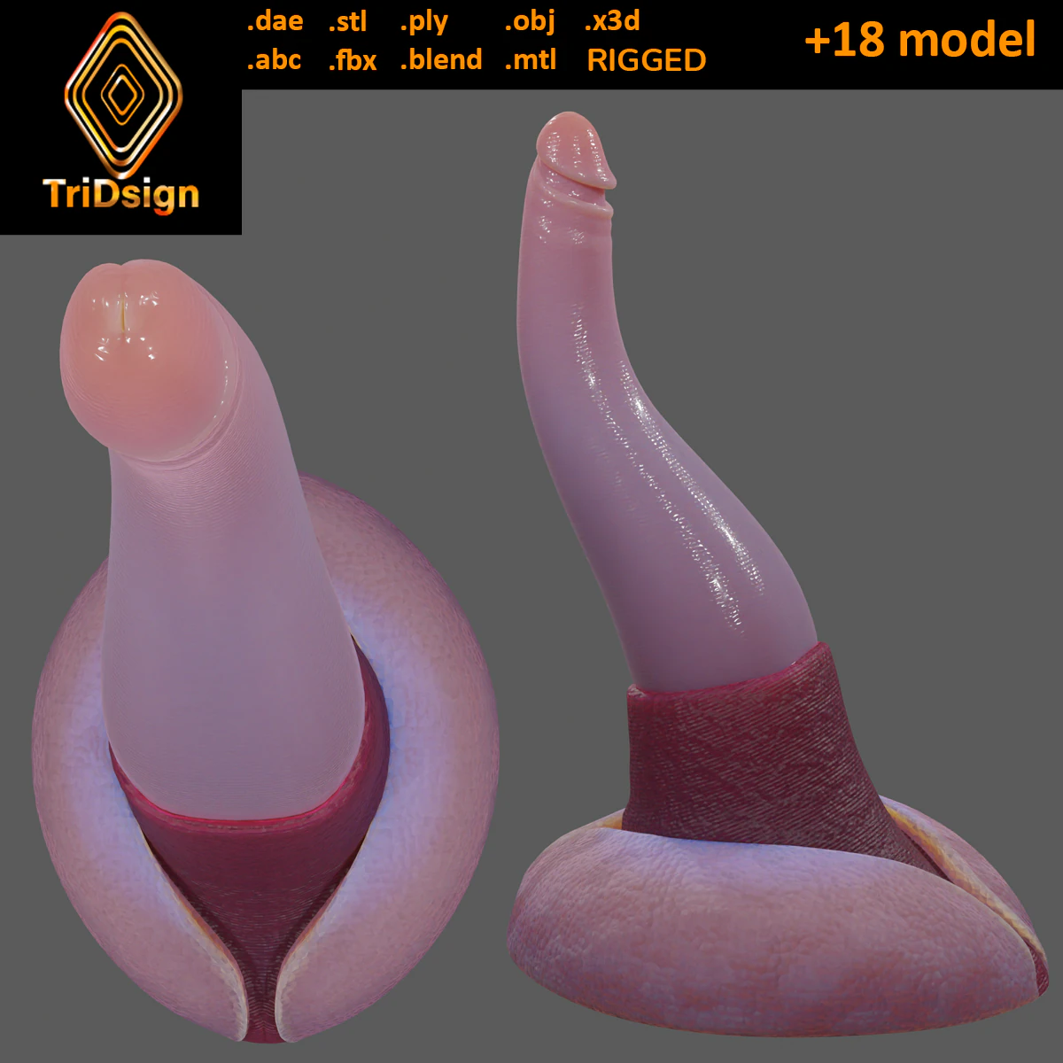 Lowpoly Tentacle Penis Sextoy Rigged 3D Model .c4d .max .obj .3ds .fbx .stl .blend