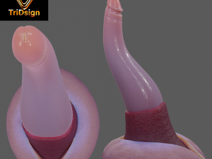 Lowpoly Tentacle Penis Sextoy Rigged 3Dモデル
