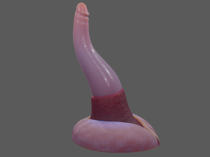 Lowpoly Tentacle Penis Sextoy Rigged Modelo 3D