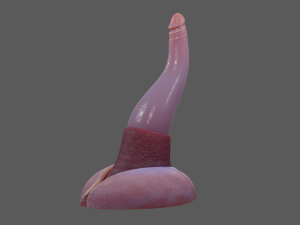 Lowpoly Tentacle Penis Sextoy Rigged Modelo 3D