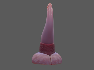 Lowpoly Tentacle Penis Sextoy Rigged Modelo 3D