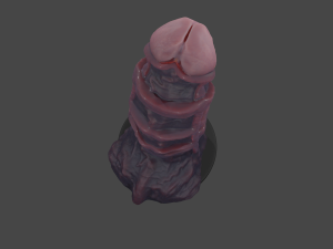 Undead Abomination Penis Sextoy 3D Model