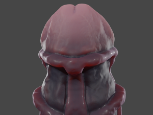 Undead Abomination Penis Sextoy 3D Model