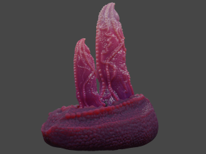 Double Dragon Penis Sextoy Rigged Modello 3D