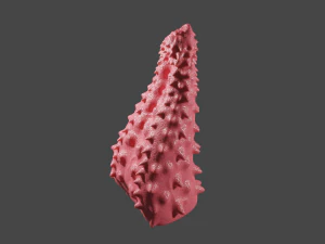 58 Fantasy Sextoy Collection Pack 3D Model