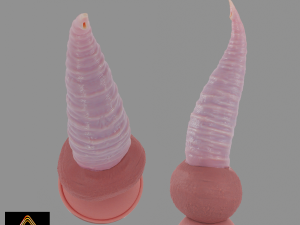 Tentacle Sextoy 4 Rigged 3D Model