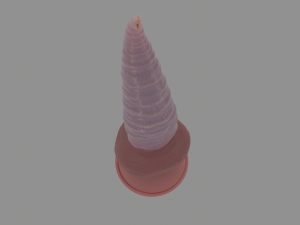 Tentacle Sextoy 4 Rigged Modèle 3D