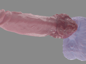 Alpha Werewolf Penis Sextoy Rigged Modelo 3D