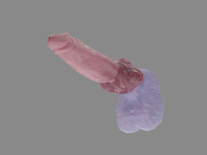 Alpha Werewolf Penis Sextoy Rigged Modelo 3D