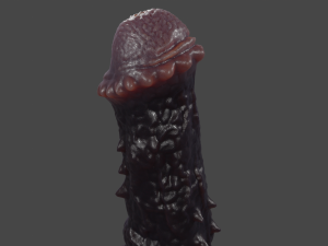 Night Horse Furry Sextoy Rigged 3D Model