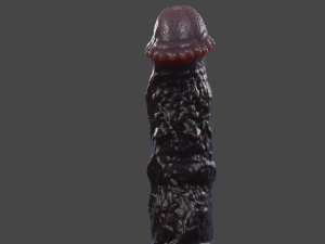 Night Horse Furry Sextoy Rigged 3D Model