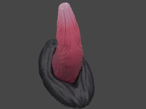 Borian Dragon Sextoy Rigged Model 3D