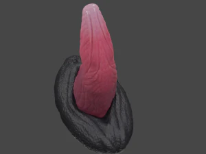 Borian Dragon Sextoy Rigged 3D Model